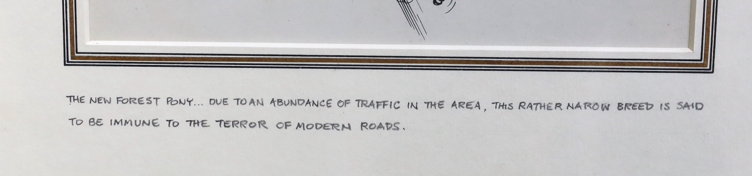 Norman Thelwell (English, 1923-2004), 'The New Forest Pony: Due an abundance of traffic in the area - this rather narrow breed is said to be immune to the terror of modern roads', pen and ink, 13 x 20cm